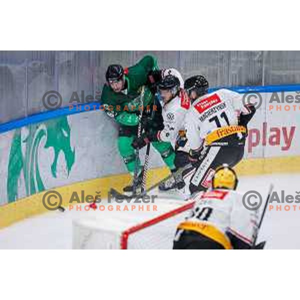 in action during IceHL 2025/2026 ice-hockey match between SZ Olimpija and Pioneers Vorarlberg in Tivoli Hall, Ljubljana, Slovenia on September 21, 2025
