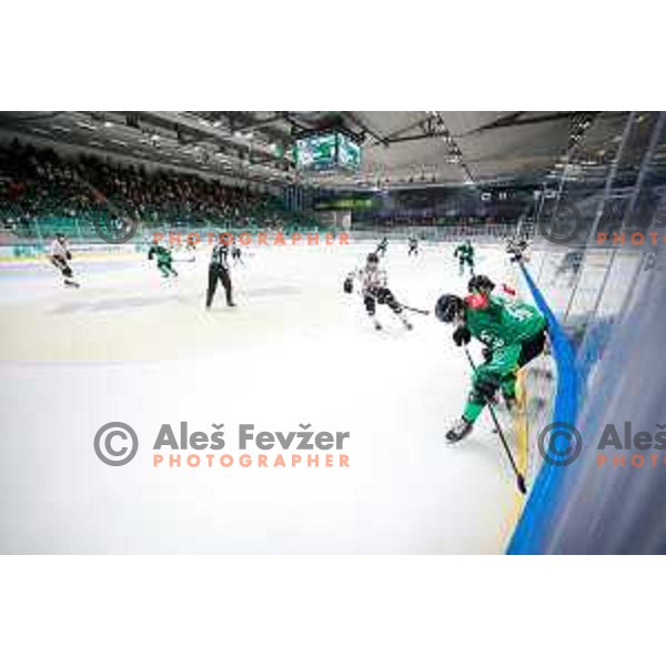 in action during IceHL 2025/2026 ice-hockey match between SZ Olimpija and Pioneers Vorarlberg in Tivoli Hall, Ljubljana, Slovenia on September 21, 2025