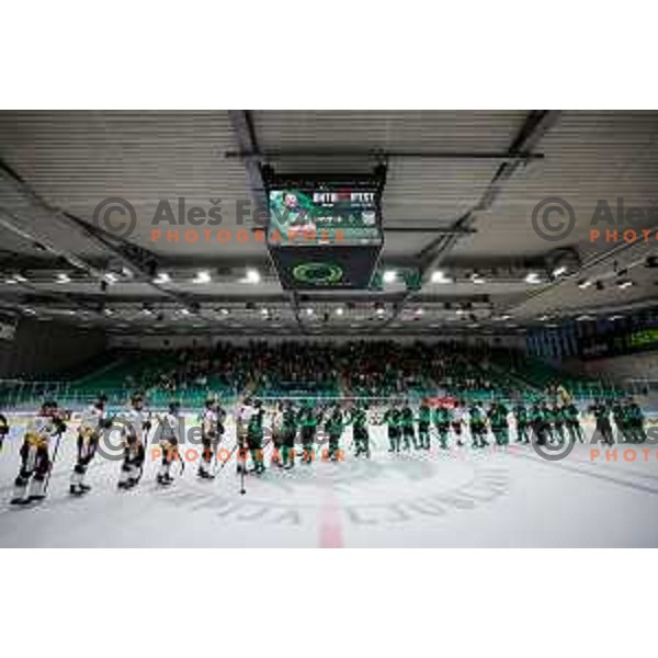 in action during IceHL 2025/2026 ice-hockey match between SZ Olimpija and Pioneers Vorarlberg in Tivoli Hall, Ljubljana, Slovenia on September 21, 2025