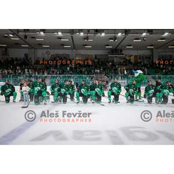 in action during IceHL 2025/2026 ice-hockey match between SZ Olimpija and Pioneers Vorarlberg in Tivoli Hall, Ljubljana, Slovenia on September 21, 2025
