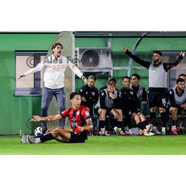 Milan Andjelkovic during Prva liga Telemach 2025/2026 football match between Primorje and Celje in Ajdovscina, Slovenia on September 21, 2025