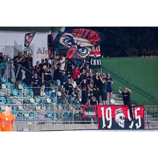 in action during Prva liga Telemach 2025/2026 football match between Primorje and Celje in Ajdovscina, Slovenia on September 21, 2025