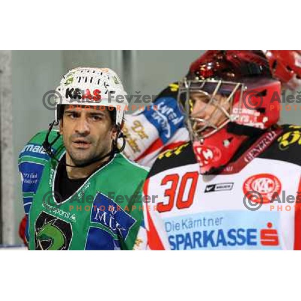 Intranuovo at ice hockey match Tilia Olimpija- KAC in EBEL league, played in Hala Tivoli, Ljubljana, Slovenia 31.10.2008 