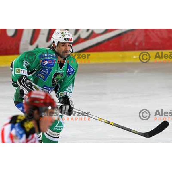 Ralph Inttranuovo at ice hockey match Tilia Olimpija- KAC in EBEL league, played in Hala Tivoli, Ljubljana, Slovenia 31.10.2008 