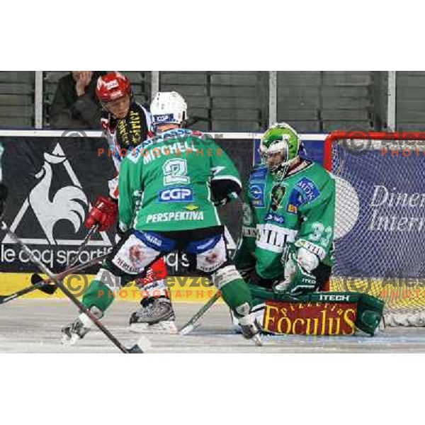 Morrison at ice hockey match Tilia Olimpija- KAC in EBEL league, played in Hala Tivoli, Ljubljana, Slovenia 31.10.2008 