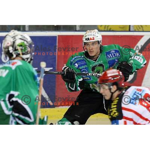 Ziga Pavlin at ice hockey match Tilia Olimpija- KAC in EBEL league, played in Hala Tivoli, Ljubljana, Slovenia 31.10.2008 