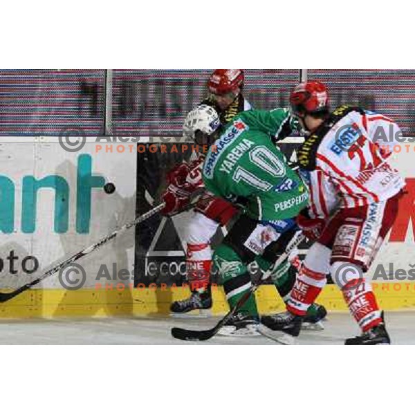 Yarema at ice hockey match Tilia Olimpija- KAC in EBEL league, played in Hala Tivoli, Ljubljana, Slovenia 31.10.2008 