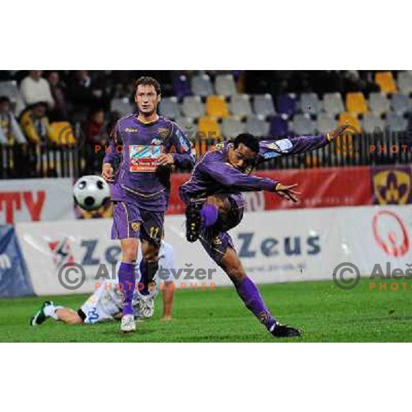 Jelic, Tavares at football match Maribor Pivovarna Lasko-Mik CM Celje, Prva liga Telekom Slovenije, played in Maribor 31.10.2008. Maribor won 2:1 