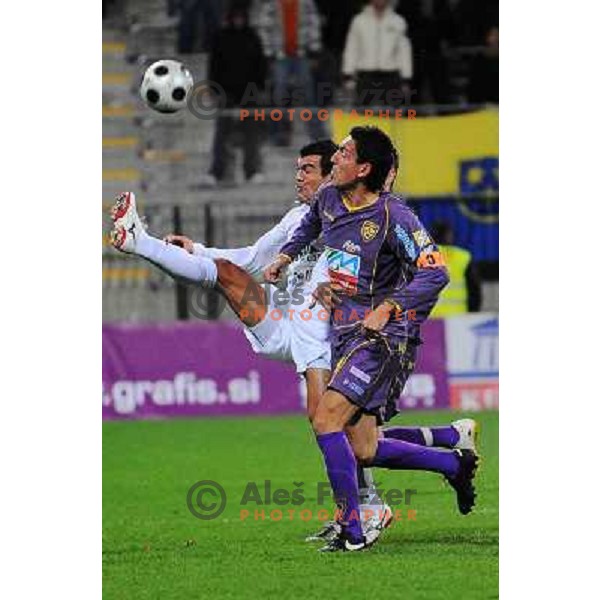 Pavlovic at football match Maribor Pivovarna Lasko-Mik CM Celje, Prva liga Telekom Slovenije, played in Maribor 31.10.2008. Maribor won 2:1 