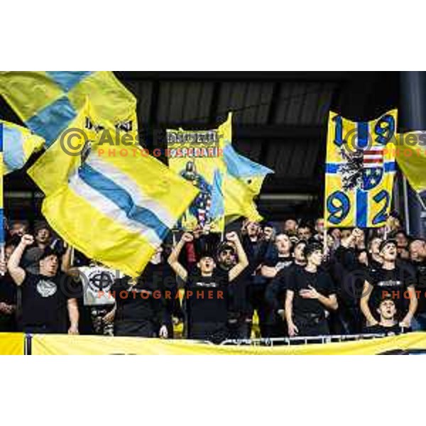 Celjski grofje during Prva liga Telemach 2025/26 football match between NK Aluminij and NK Maribor in Sportni park Kidricevo, Slovenia on September 19, 2025. Photo: Jure Banfi