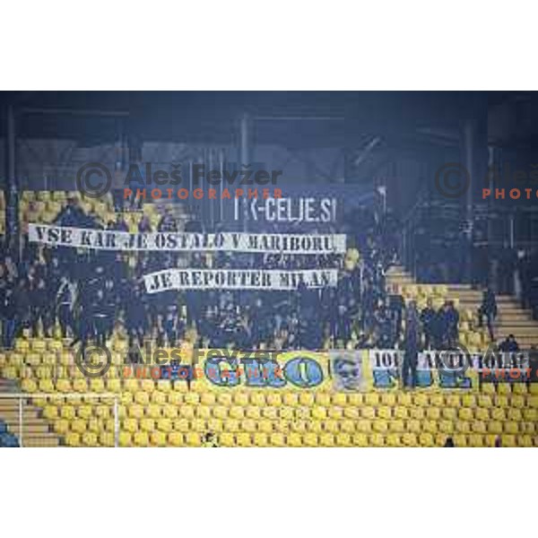 Celjski grofje during Prva liga Telemach 2025/26 football match between NK Aluminij and NK Maribor in Sportni park Kidricevo, Slovenia on September 19, 2025. Photo: Jure Banfi