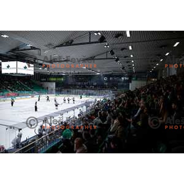 IceHL 2025/2026 ice-hockey match between SZ Olimpija and Hydro Fehervar in Tivoli Hall, Ljubljana, Slovenia on September 28, 2025