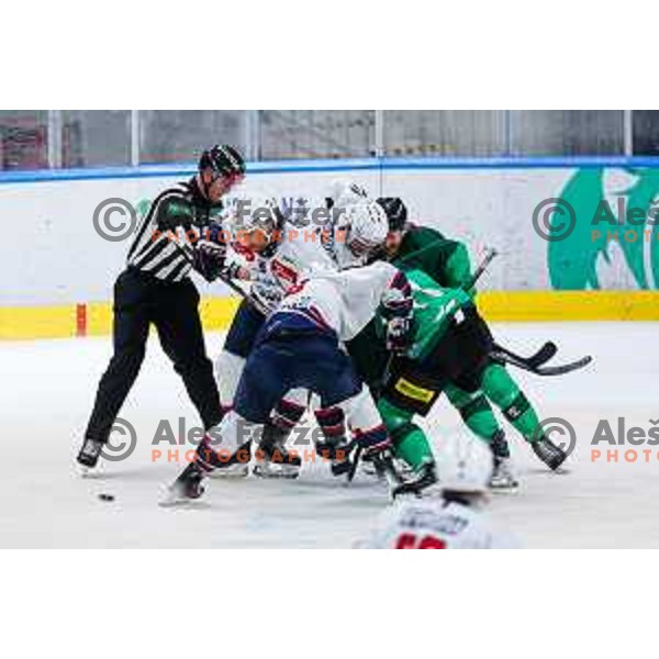 in action during IceHL 2025/2026 ice-hockey match between SZ Olimpija and Hydro Fehervar in Tivoli Hall, Ljubljana, Slovenia on September 28, 2025
