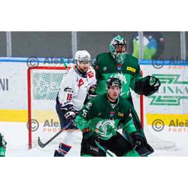 Jan Gregorc during IceHL 2025/2026 ice-hockey match between SZ Olimpija and Hydro Fehervar in Tivoli Hall, Ljubljana, Slovenia on September 28, 2025