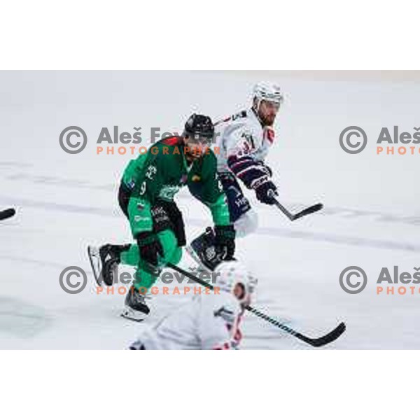 Evan Polei in action during IceHL 2025/2026 ice-hockey match between SZ Olimpija and Hydro Fehervar in Tivoli Hall, Ljubljana, Slovenia on September 28, 2025