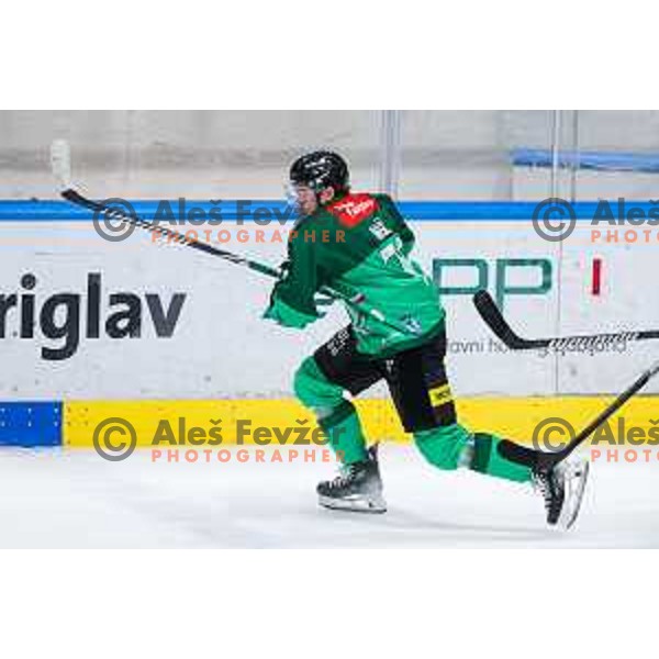 Bine Masic in action during IceHL 2025/2026 ice-hockey match between SZ Olimpija and Hydro Fehervar in Tivoli Hall, Ljubljana, Slovenia on September 28, 2025