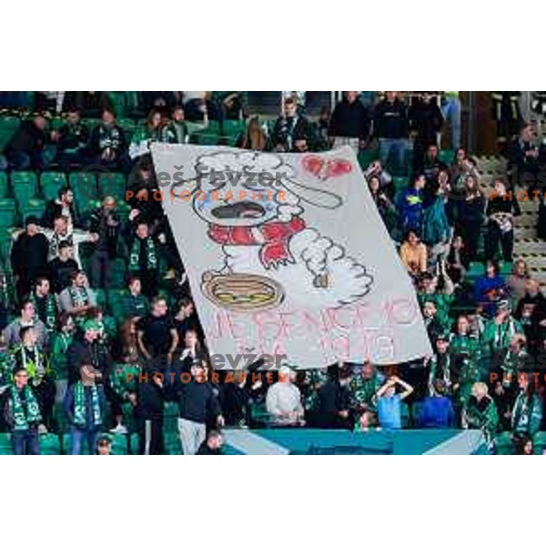 action during Slovenian Ice-Hockey Championship match between SZ Olimpija and Jesenice in Tivoli Hall, Ljubljana, Slovenia on. September 30, 2025
