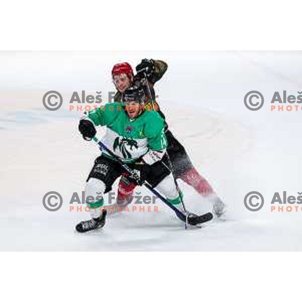 action during Slovenian Ice-Hockey Championship match between SZ Olimpija and Jesenice in Tivoli Hall, Ljubljana, Slovenia on. September 30, 2025