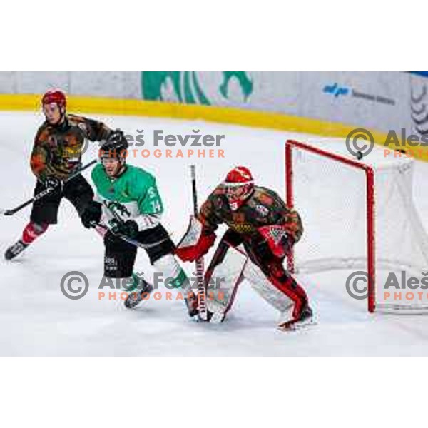 Zan Us in action during Slovenian Ice-Hockey Championship match between SZ Olimpija and Jesenice in Tivoli Hall, Ljubljana, Slovenia on. September 30, 2025