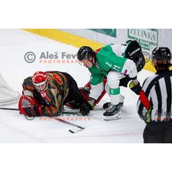 Zan Us in action during Slovenian Ice-Hockey Championship match between SZ Olimpija and Jesenice in Tivoli Hall, Ljubljana, Slovenia on. September 30, 2025