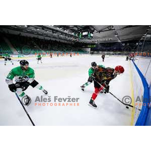 Gregor Koblar in action during Slovenian Ice-Hockey Championship match between SZ Olimpija and Jesenice in Tivoli Hall, Ljubljana, Slovenia on. September 30, 2025