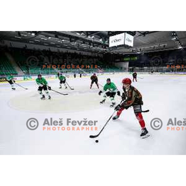 Gregor Koblar in action during Slovenian Ice-Hockey Championship match between SZ Olimpija and Jesenice in Tivoli Hall, Ljubljana, Slovenia on. September 30, 2025