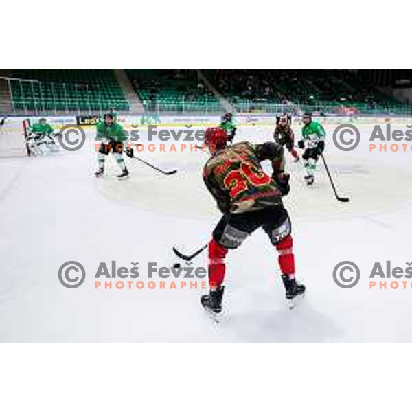 Gregor Koblar in action during Slovenian Ice-Hockey Championship match between SZ Olimpija and Jesenice in Tivoli Hall, Ljubljana, Slovenia on. September 30, 2025