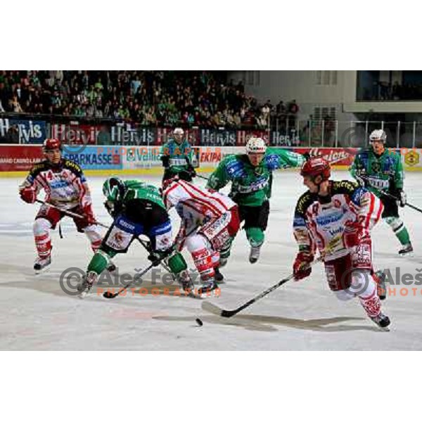 Muric, Kralj,Vnuk at ice hockey match Tilia Olimpija- KAC in EBEL league, played in Hala Tivoli, Ljubljana 31.10.2008. Tilia Olimpija won 4:2 