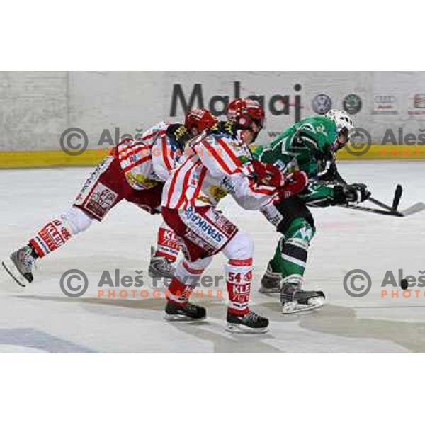 Muric at ice hockey match Tilia Olimpija- KAC in EBEL league, played in Hala Tivoli, Ljubljana 31.10.2008. Tilia Olimpija won 4:2 