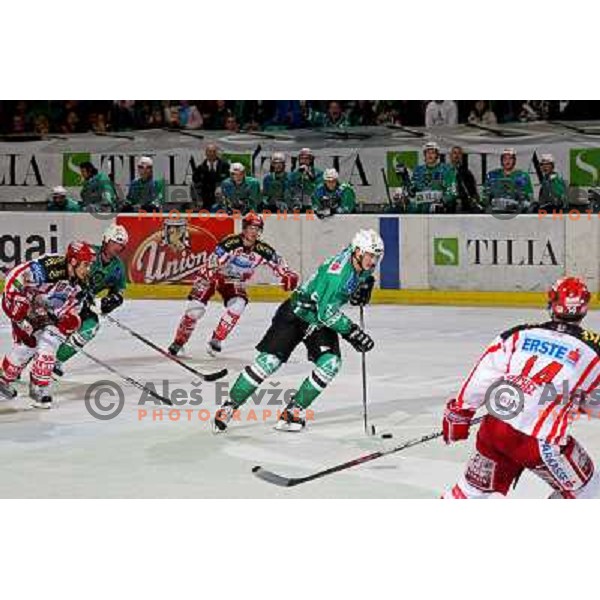 Pavlin at ice hockey match Tilia Olimpija- KAC in EBEL league, played in Hala Tivoli, Ljubljana 31.10.2008. Tilia Olimpija won 4:2 