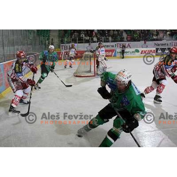 Yarema at ice hockey match Tilia Olimpija- KAC in EBEL league, played in Hala Tivoli, Ljubljana 31.10.2008. Tilia Olimpija won 4:2 