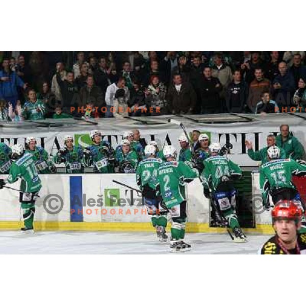 Olimpija players celebrate victory at ice hockey match Tilia Olimpija- KAC in EBEL league, played in Hala Tivoli, Ljubljana 31.10.2008. Tilia Olimpija won 4:2 