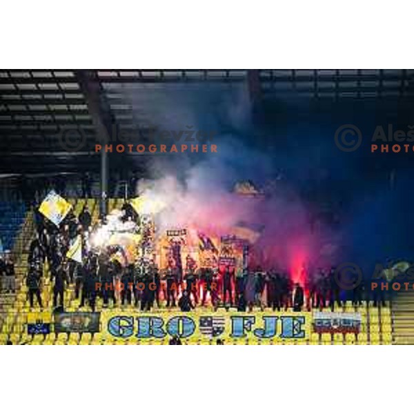 Celjski grofje during UEFA Conference League 2025/26 football match between NK Celje (SLO) and AEK Athens (GRE) in Stadion z’dezele, Celje, Slovenia on October 2, 2025. Photo: Jure Banfi