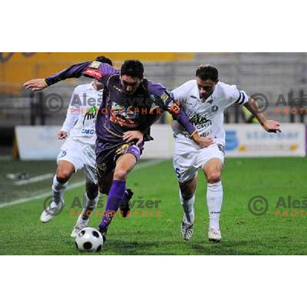 Pavlovic at football match Maribor Pivovarna Lasko-Mik CM Celje, Prva liga Telekom Slovenije, played in Maribor 31.10.2008. Maribor won 2:1 