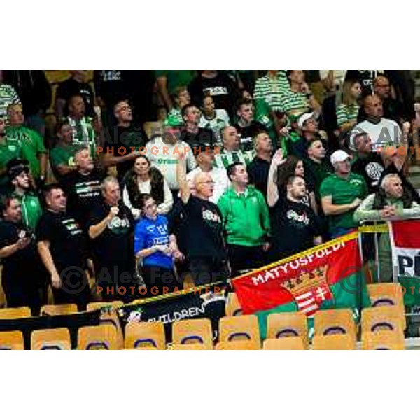 Fans of Ferencvaros TC-Rail Cargo Hungaria in action during EHF Women’s Champions League 2025/2026 handball match between Krim OTP Group Mercator (SLO) and Ferencvaros TC-Rail Cargo Hungaria (HU) in Ljubljana, Slovenia on October 5, 2025. Photo: Filip Barbalic