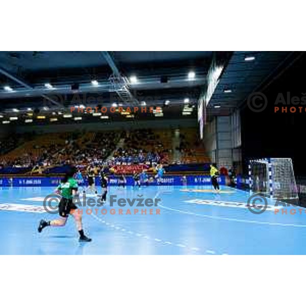 Hala Tivoli during EHF Women’s Champions League 2025/2026 handball match between Krim OTP Group Mercator (SLO) and Ferencvaros TC-Rail Cargo Hungaria (HU) in Ljubljana, Slovenia on October 5, 2025. Photo: Filip Barbalic