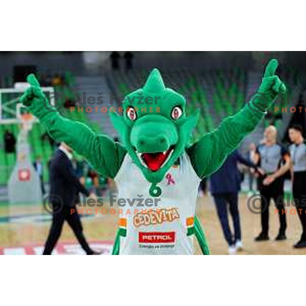 Zmajcek Oli celebrates win in ABA League 2025/2026 basketball match between Cedevita Olimpija (SLO) and Mega Superbet (SRB) in SRC Stozice, Ljubljana, Slovenia on October 5, 2025. Photo: Filip Barbalic