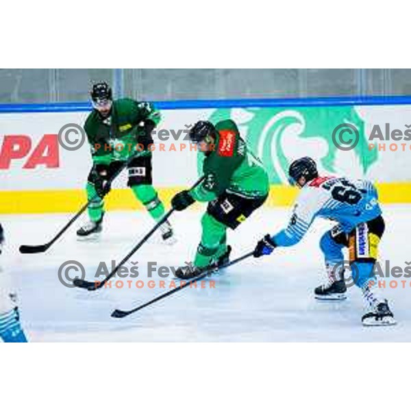 Ziga Pance of SZ Olimpija in action during IceHL 2025/2026 ice-hockey match between SZ Olimpija and Steinbach Black Wings Linz in Tivoli Hall, Ljubljana, Slovenia on October 10, 2025. Photo: Filip Barbalic