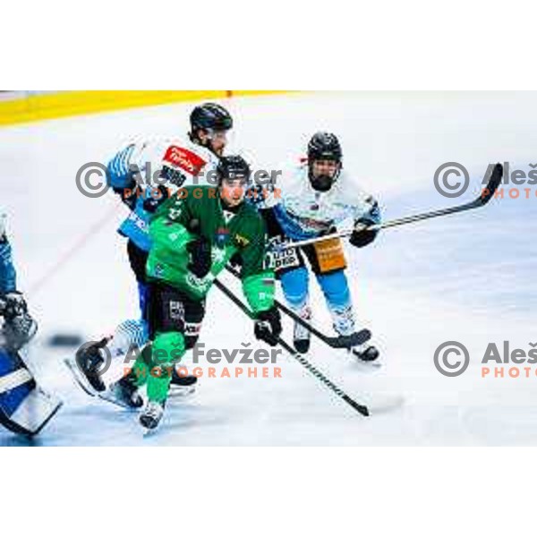 Bine Masic of SZ Olimpija in action during IceHL 2025/2026 ice-hockey match between SZ Olimpija and Steinbach Black Wings Linz in Tivoli Hall, Ljubljana, Slovenia on October 10, 2025. Photo: Filip Barbalic
