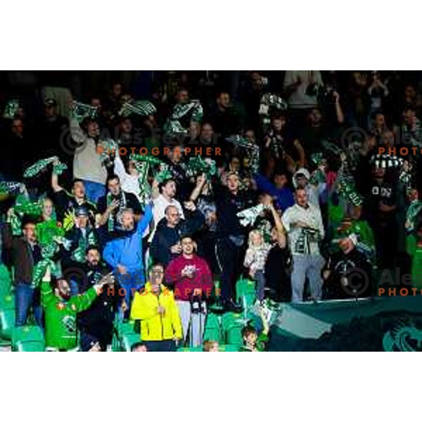 Fans of SZ Olimpija during IceHL 2025/2026 ice-hockey match between SZ Olimpija and Steinbach Black Wings Linz in Tivoli Hall, Ljubljana, Slovenia on October 10, 2025. Photo: Filip Barbalic
