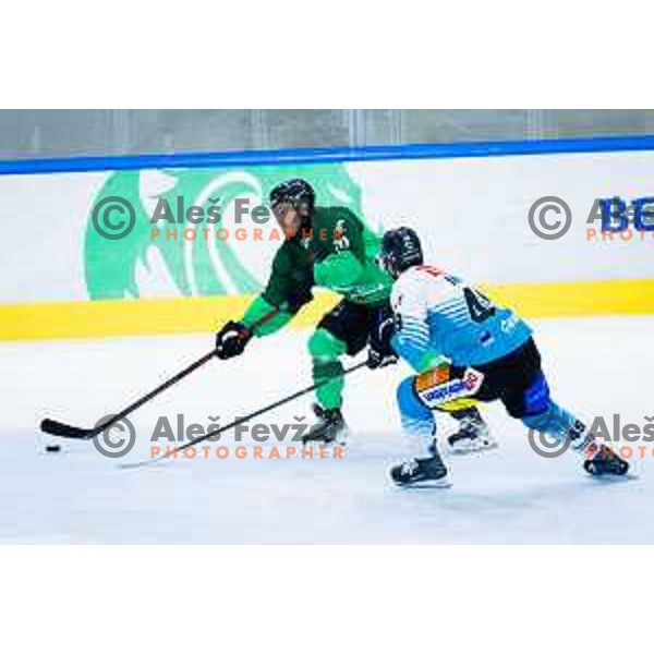 Rok Kapel of SZ Olimpija in action during IceHL 2025/2026 ice-hockey match between SZ Olimpija and Steinbach Black Wings Linz in Tivoli Hall, Ljubljana, Slovenia on October 10, 2025. Photo: Filip Barbalic