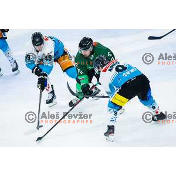 Rok Kapel of SZ Olimpija in action during IceHL 2025/2026 ice-hockey match between SZ Olimpija and Steinbach Black Wings Linz in Tivoli Hall, Ljubljana, Slovenia on October 10, 2025. Photo: Filip Barbalic