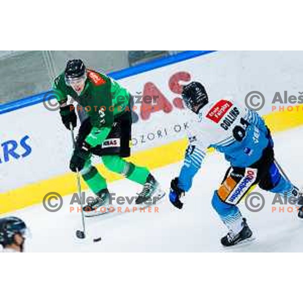 Ziga Mehle of SZ Olimpija in action during IceHL 2025/2026 ice-hockey match between SZ Olimpija and Steinbach Black Wings Linz in Tivoli Hall, Ljubljana, Slovenia on October 10, 2025. Photo: Filip Barbalic