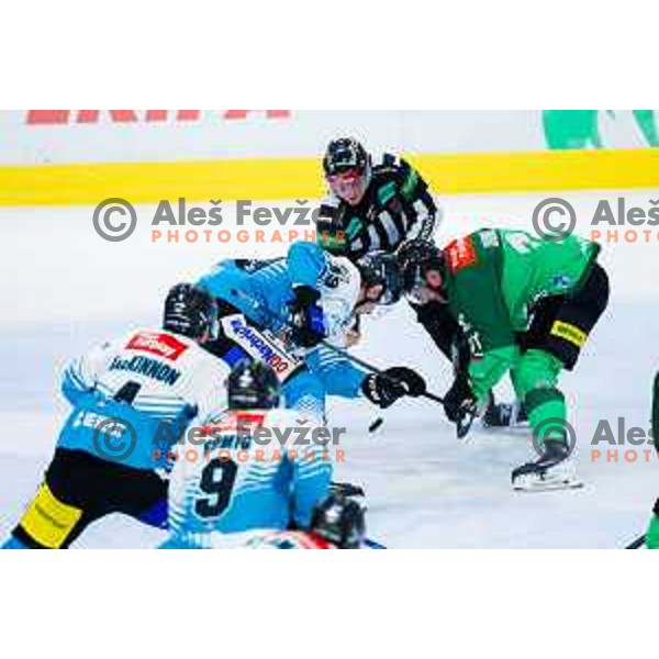 Marly Quince of SZ Olimpija in action during IceHL 2025/2026 ice-hockey match between SZ Olimpija and Steinbach Black Wings Linz in Tivoli Hall, Ljubljana, Slovenia on October 10, 2025. Photo: Filip Barbalic