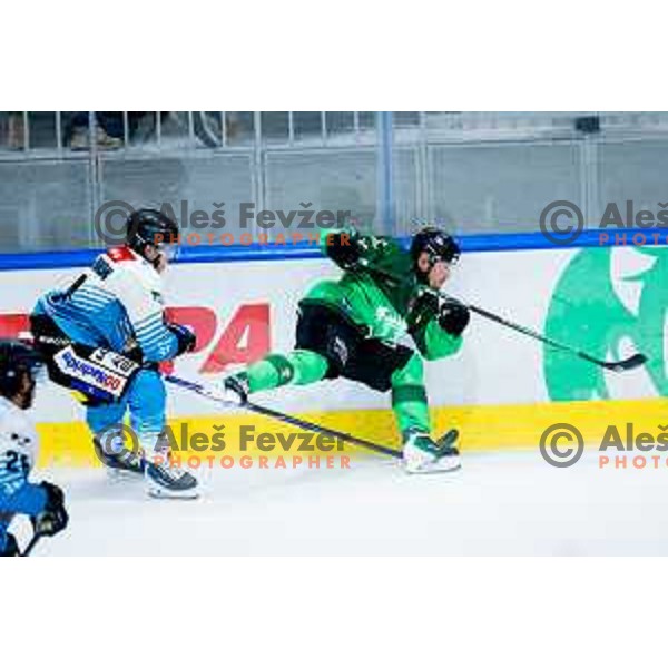 in action during IceHL 2025/2026 ice-hockey match between SZ Olimpija and Steinbach Black Wings Linz in Tivoli Hall, Ljubljana, Slovenia on October 10, 2025. Photo: Filip Barbalic