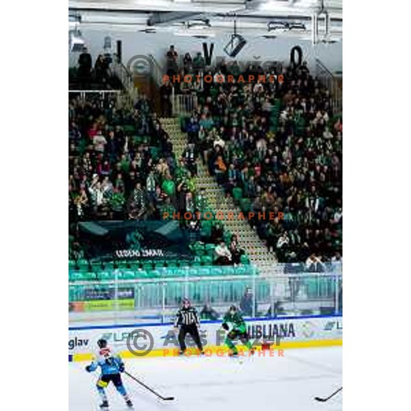 Hala Tivoli during IceHL 2025/2026 ice-hockey match between SZ Olimpija and Steinbach Black Wings Linz in Tivoli Hall, Ljubljana, Slovenia on October 10, 2025. Photo: Filip Barbalic