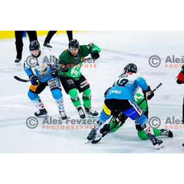 Rok Kapel of SZ Olimpija in action during IceHL 2025/2026 ice-hockey match between SZ Olimpija and Steinbach Black Wings Linz in Tivoli Hall, Ljubljana, Slovenia on October 10, 2025. Photo: Filip Barbalic