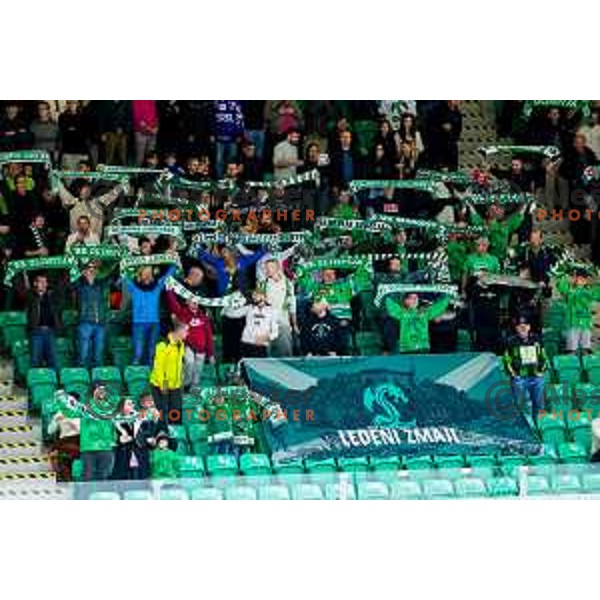Fans of SZ Olimpija during IceHL 2025/2026 ice-hockey match between SZ Olimpija and Steinbach Black Wings Linz in Tivoli Hall, Ljubljana, Slovenia on October 10, 2025. Photo: Filip Barbalic