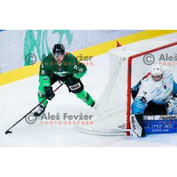 Rok Kapel of SZ Olimpija in action during IceHL 2025/2026 ice-hockey match between SZ Olimpija and Steinbach Black Wings Linz in Tivoli Hall, Ljubljana, Slovenia on October 10, 2025. Photo: Filip Barbalic