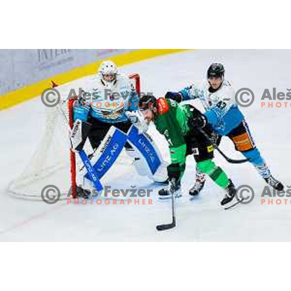 Marly Quince of SZ Olimpija in action during IceHL 2025/2026 ice-hockey match between SZ Olimpija and Steinbach Black Wings Linz in Tivoli Hall, Ljubljana, Slovenia on October 10, 2025. Photo: Filip Barbalic